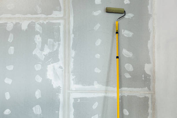 Best Water-Damaged Drywall Repair  in Ixonia, WI